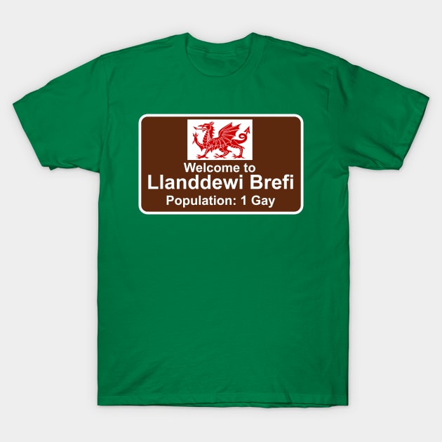 Welcome to Llanddewi Brefi - Population 1 Gay T-Shirt by Meta Cortex